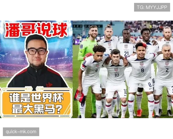 世界杯D组黑马球队实力榜